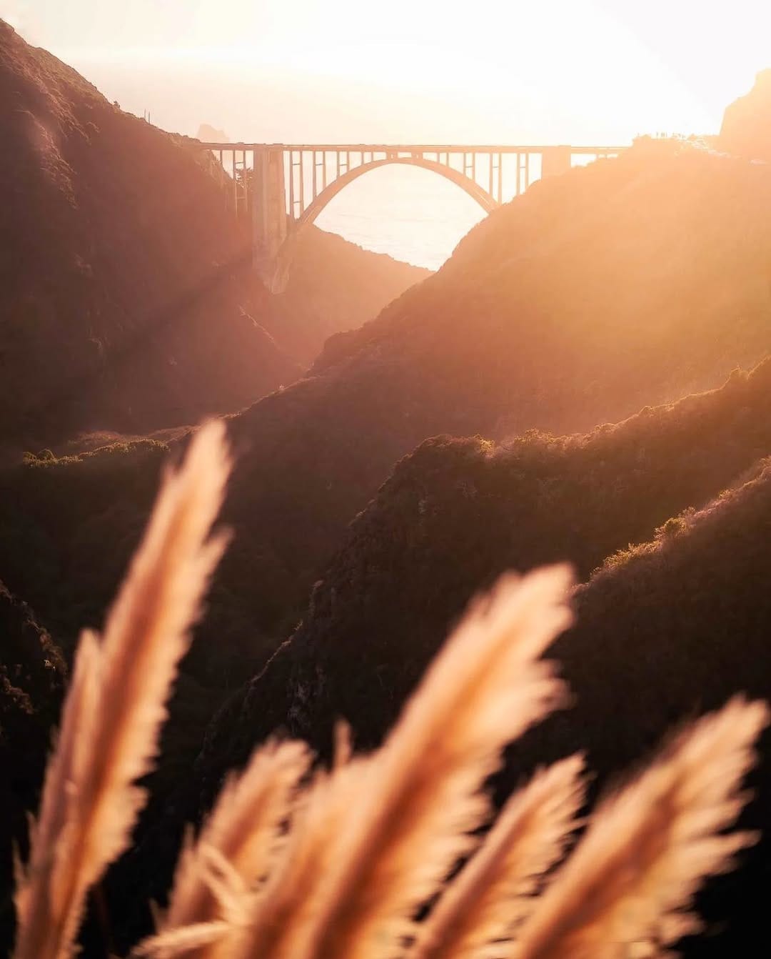Post 7 by Big Sur on Instagram (image)