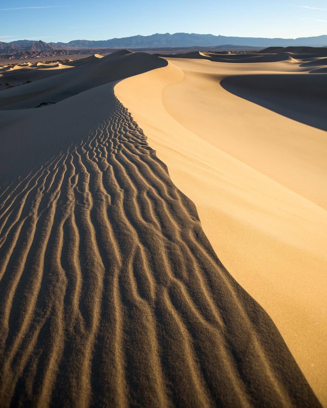 Post 8 by Patrice Gagnon | Photographer on Instagram (image)
