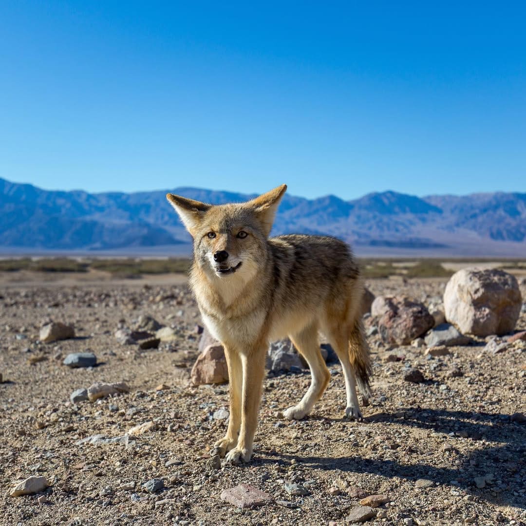 Post 9 by Patrice Gagnon | Photographer on Instagram (image)