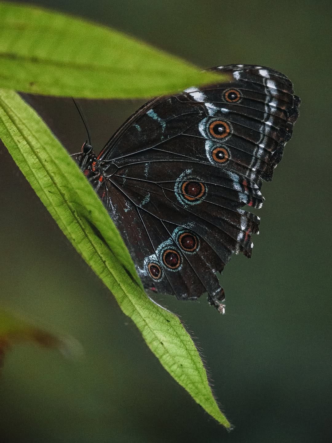 Post 1 by Patrice Gagnon | Photographer on Instagram (carousel)