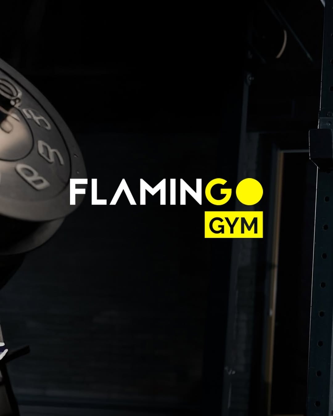 Post 6 by FLAMINGO GYM on Instagram (image)