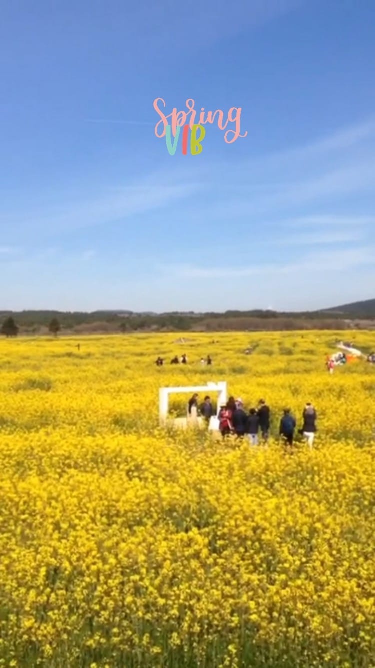 Post 9 by Seoul Wanderlust on Instagram (video)