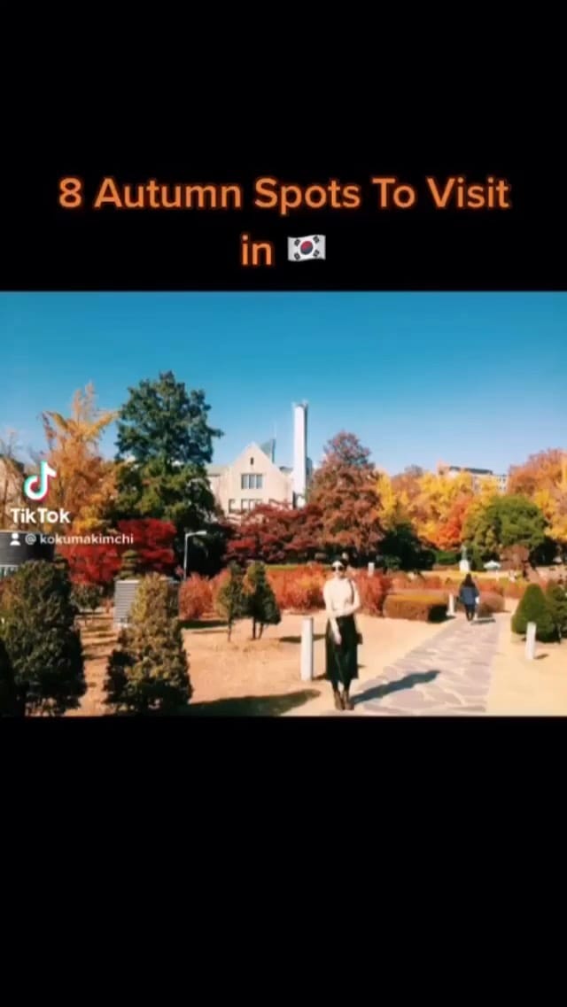 Post 4 by Seoul Wanderlust on Instagram (video)