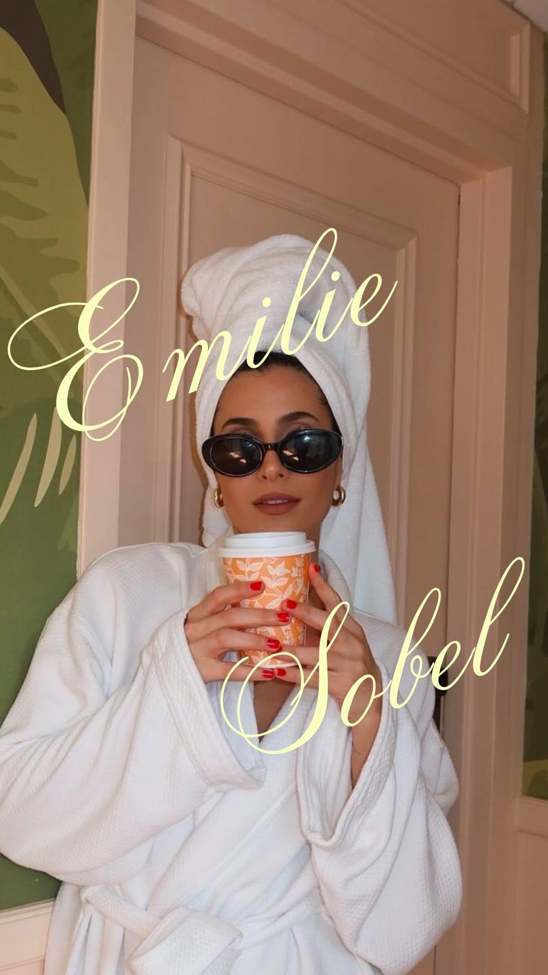 Post 9 by Emilie Sobel on Instagram (video)