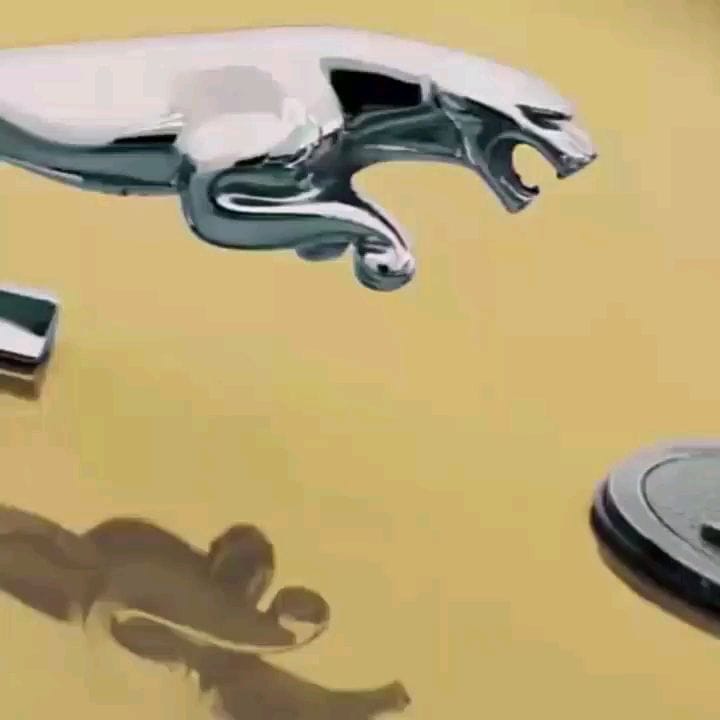 Post 1 by Victor Albuquerque on Instagram (video)