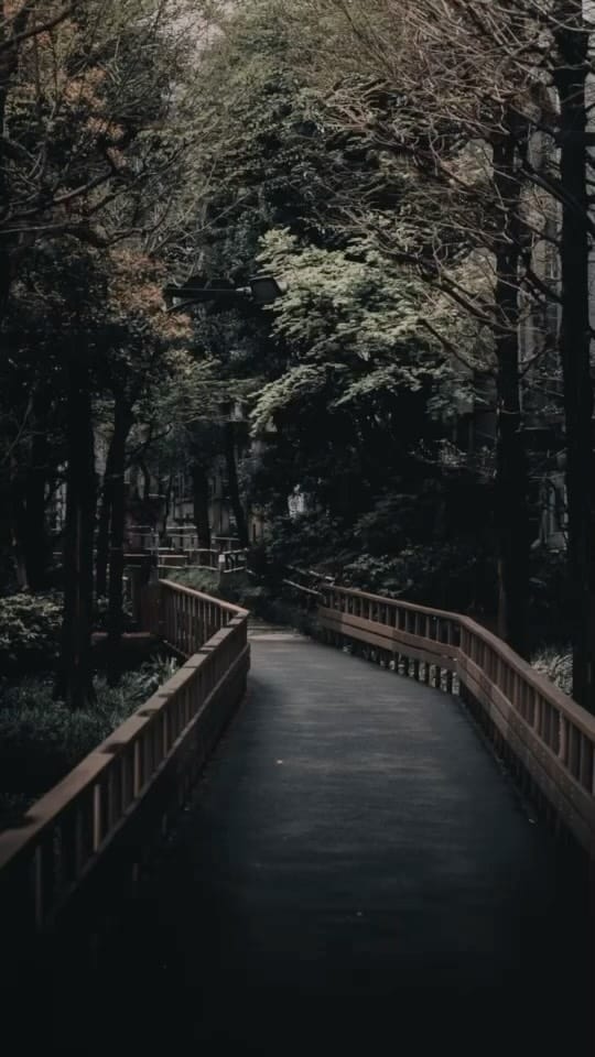 Post 5 by Days Of Camille on Instagram (video)