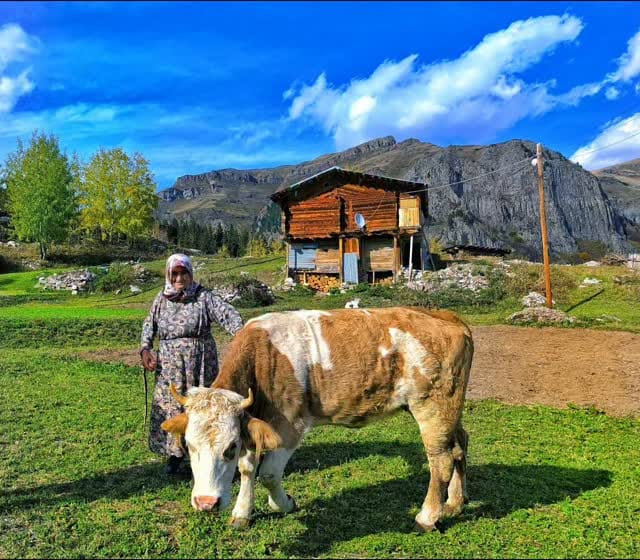 Post 2 by Necdet Bozali on Instagram (video)