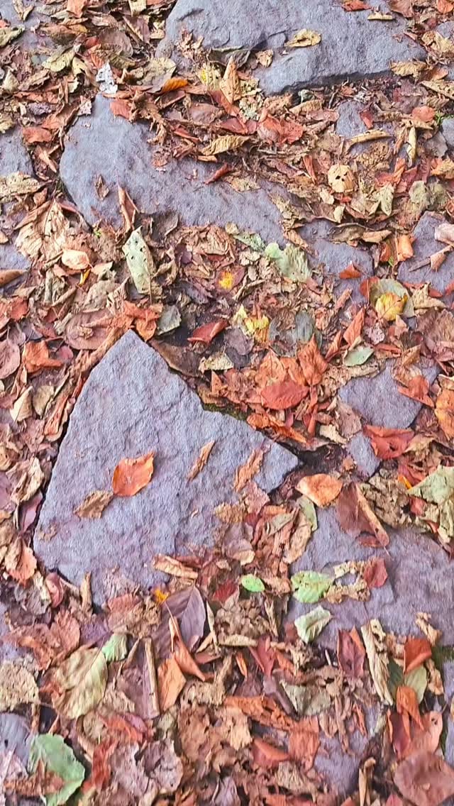 Post 3 by Necdet Bozali on Instagram (video)
