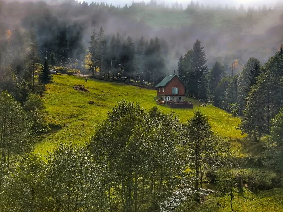 Post 6 by Necdet Bozali on Instagram (image)