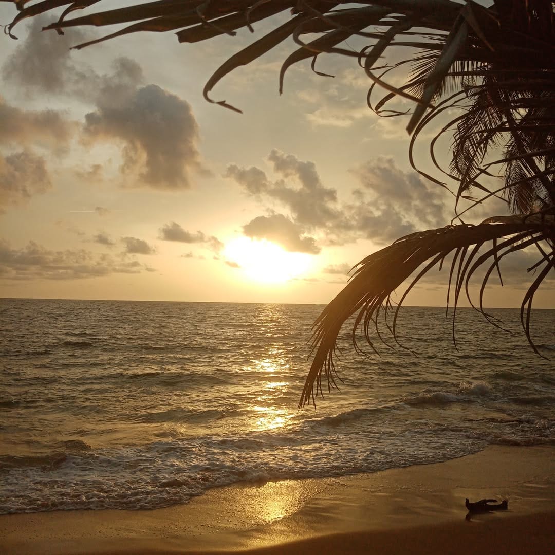 Post 3 by victor fex on Instagram (image)