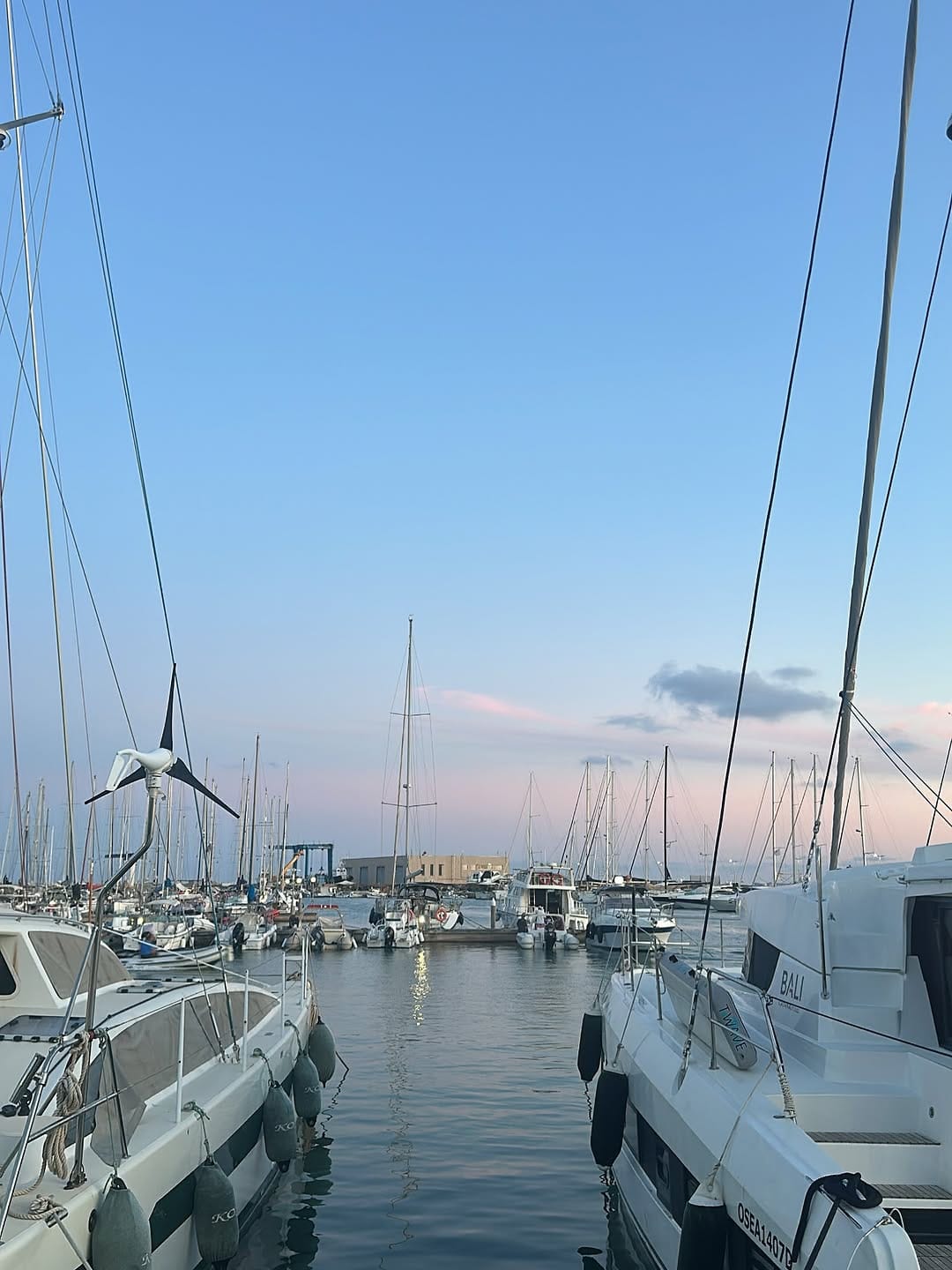 Post 6 by Nicoletta Scieri on Instagram (image)