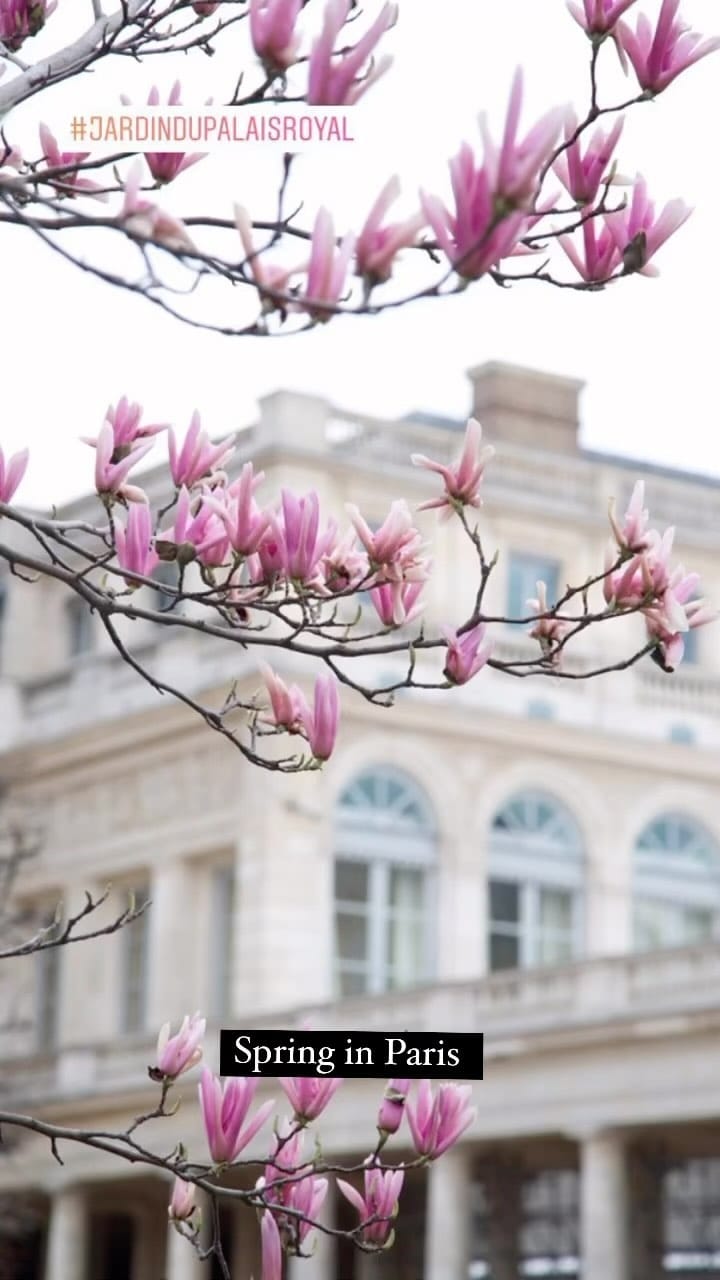 Post 9 by Emanuela on Instagram (video)