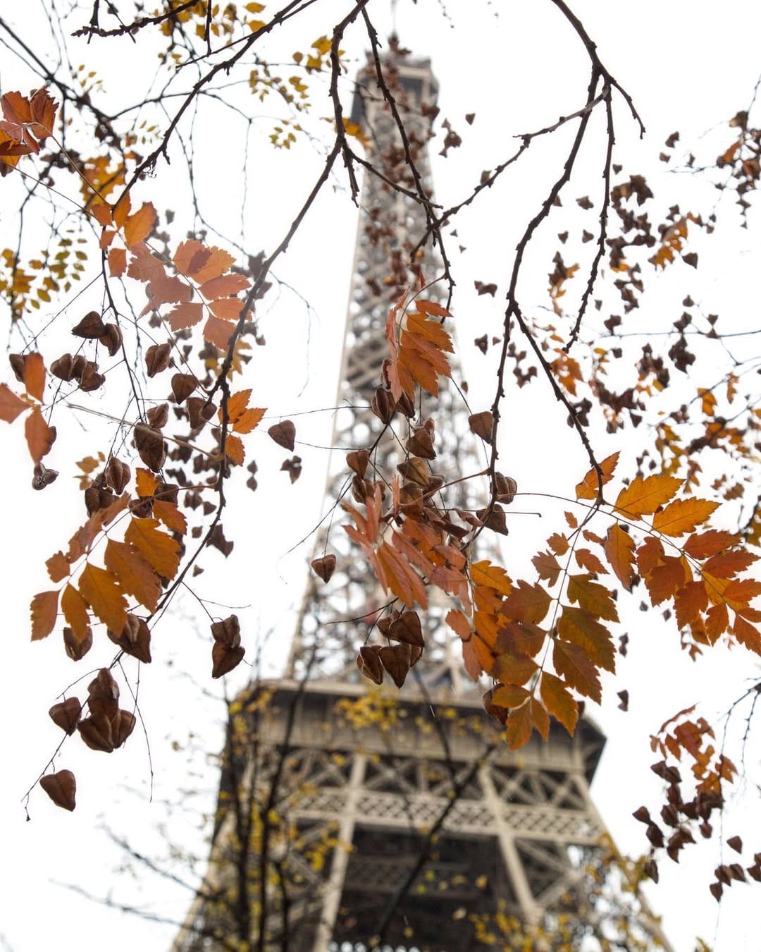 Post 10 by Emanuela on Instagram (image)