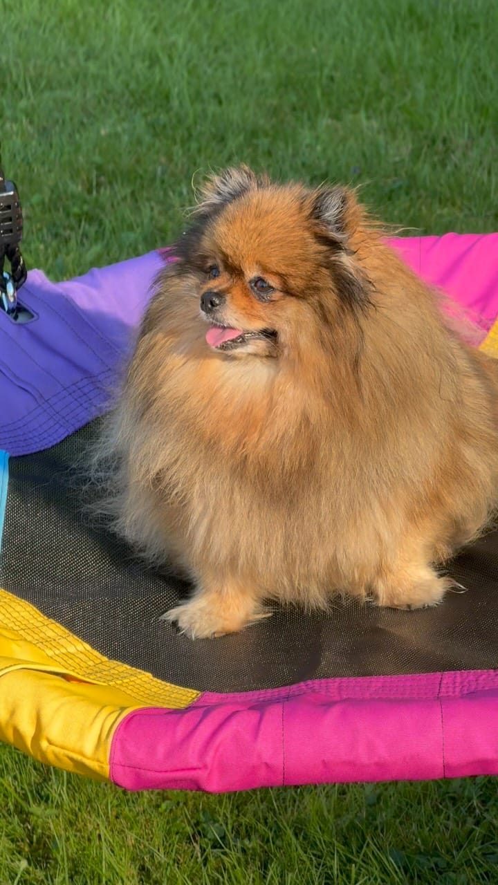 Post 2 by 💖Daisy💖 on Instagram (video)