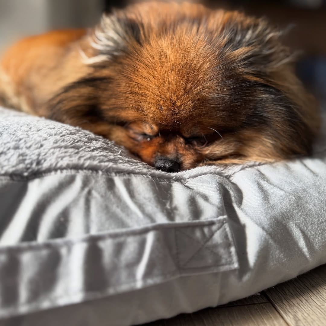 Post 5 by 💖Daisy💖 on Instagram (image)