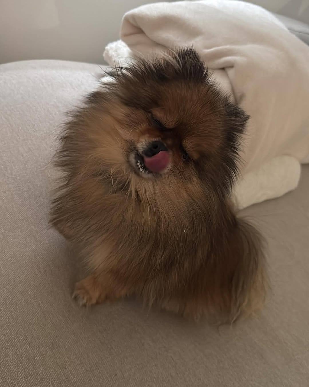 Post 10 by 💖Daisy💖 on Instagram (image)