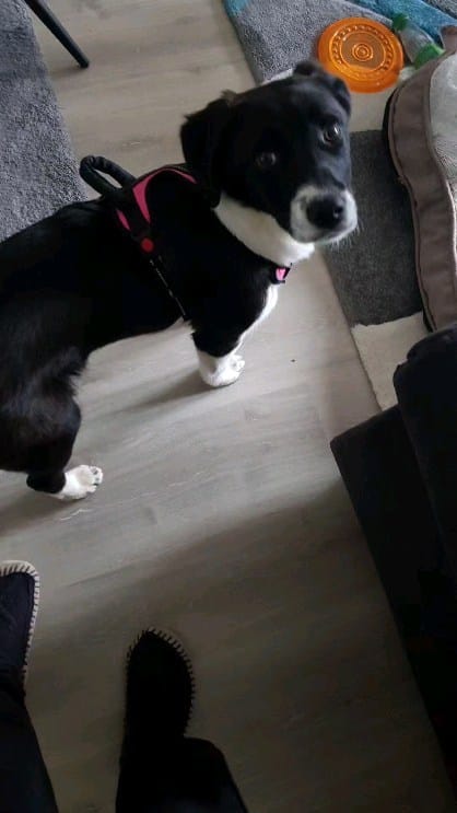 Post 4 by Susann on Instagram (video)