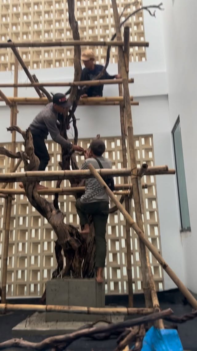 Post 3 by _GreenHills_Nursery on Instagram (video)