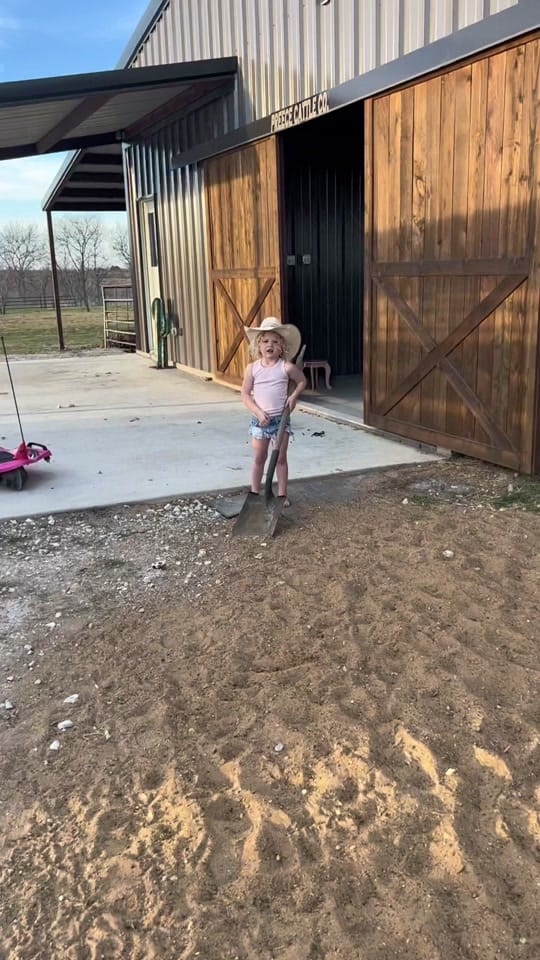 Post 10 by Halley Preece on TikTok (video)