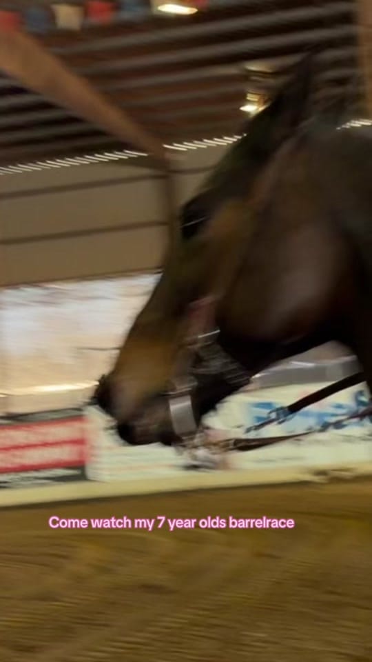 Post 2 by Halley Preece on TikTok (video)