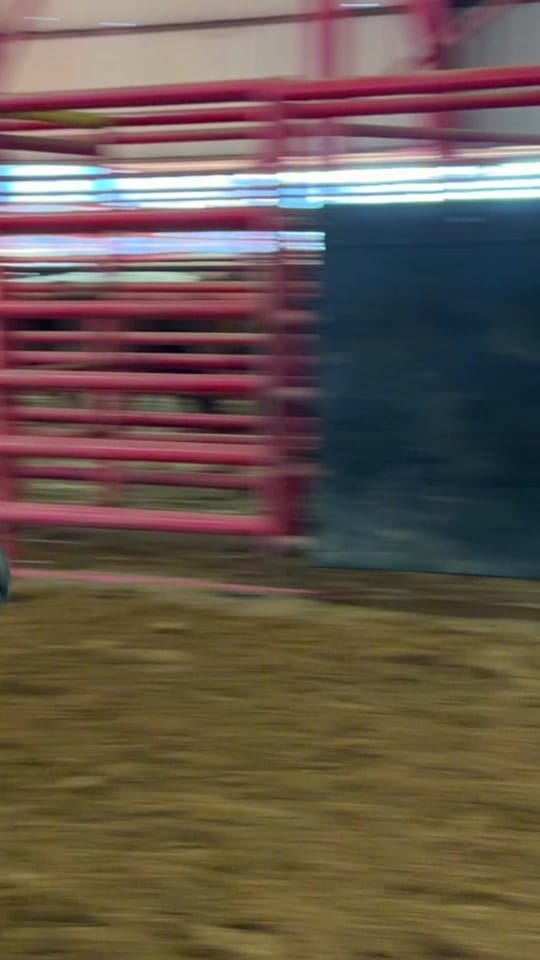 Post 6 by Halley Preece on TikTok (video)