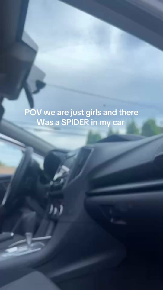 Post 5 by Samantha on TikTok (video)