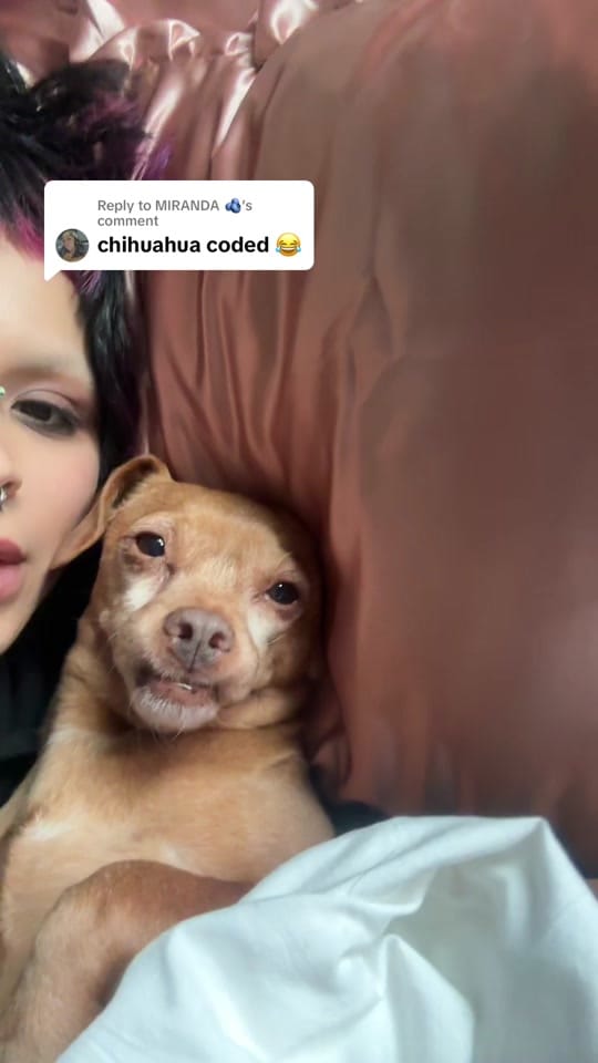 Post 7 by miss cruz on TikTok (video)