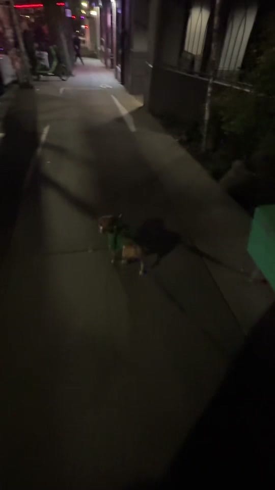 Post 8 by miss cruz on TikTok (video)