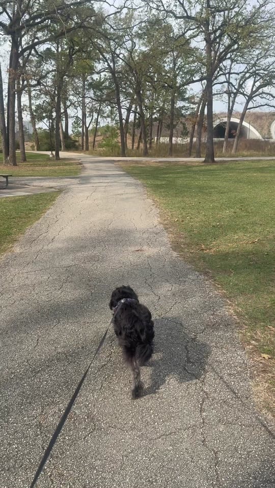 Post 4 by TYRA RIVERA on TikTok (video)