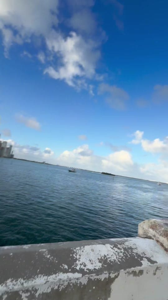 Post 3 by Tree on TikTok (video)