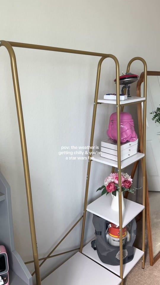 Post 1 by Tracie Megumi on TikTok (video)