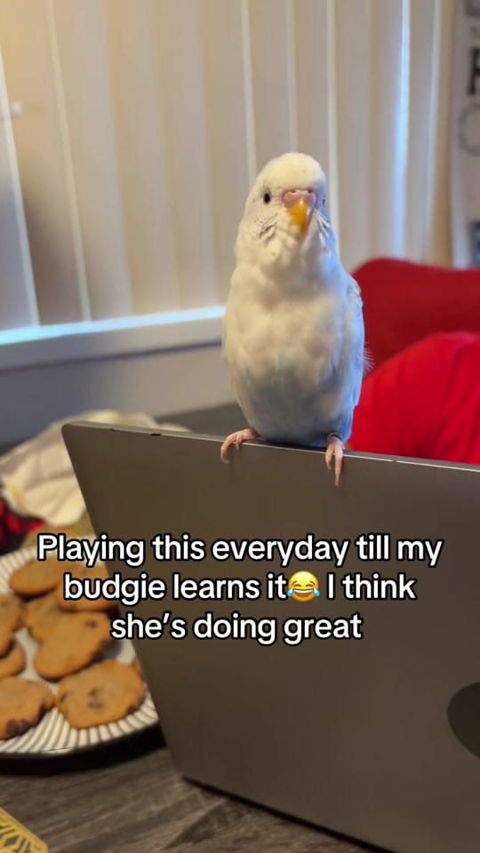 Post 10 by Yvette Robles✨💞 on TikTok (video)