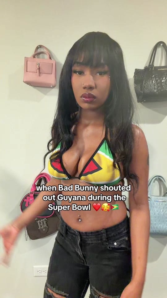 Post 4 by akirakulture on TikTok (video)