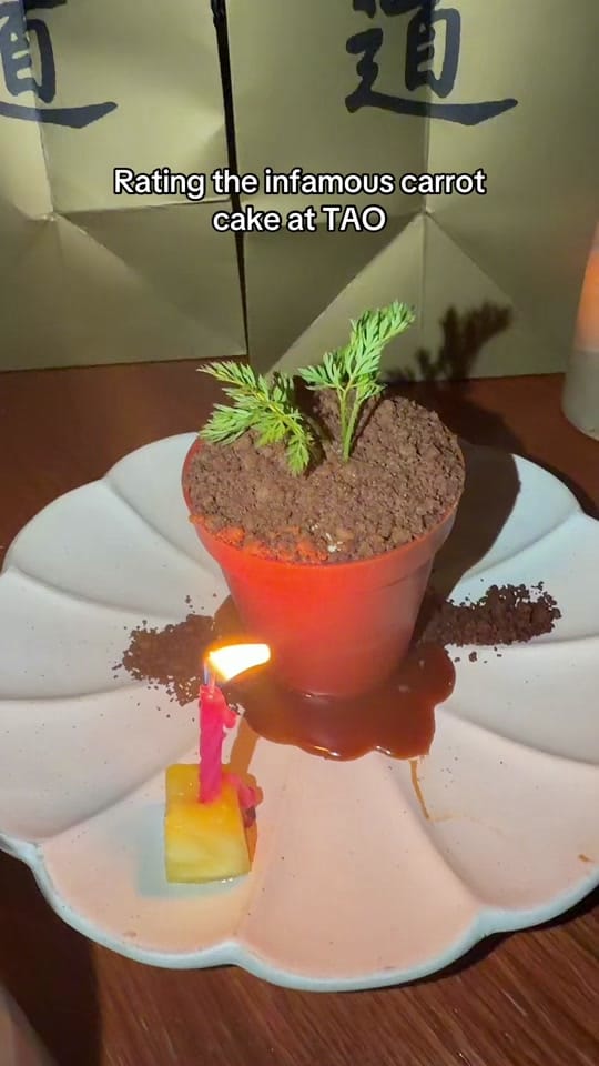 Post 8 by Tiara Alexandria on TikTok (video)