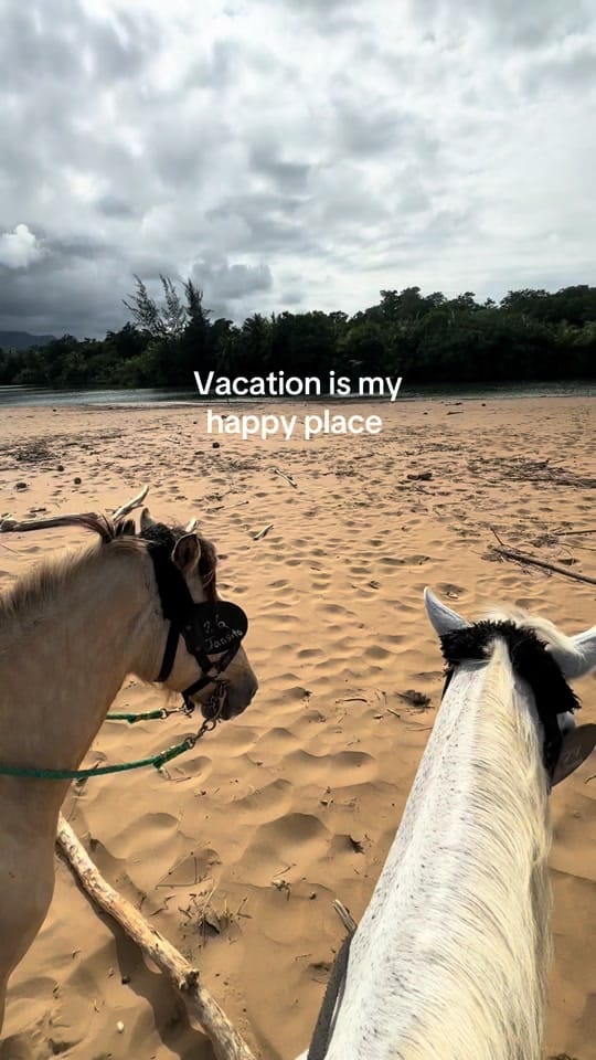 Post 4 by Vic Sarno on TikTok (video)
