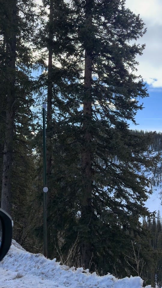 Post 7 by Stephany Cobb on TikTok (video)