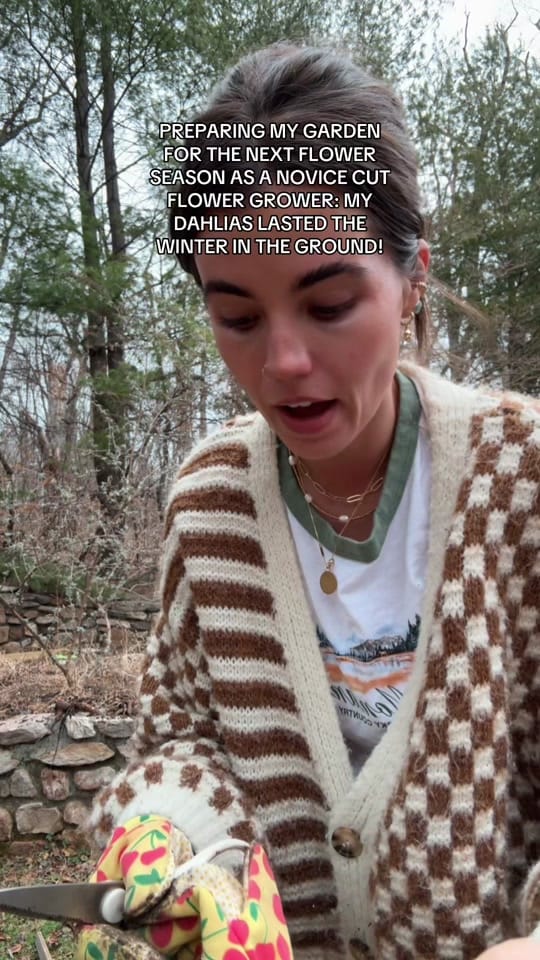 Post 5 by annaphillipsva on TikTok (video)