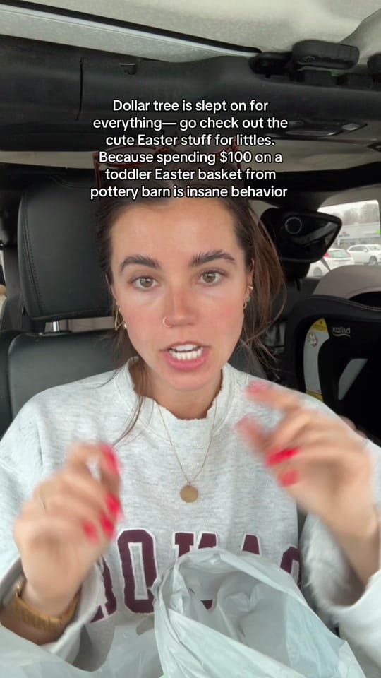 Post 6 by annaphillipsva on TikTok (video)