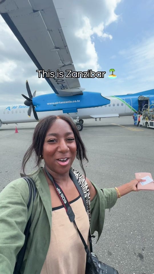Post 5 by vanessa.symone on TikTok (video)
