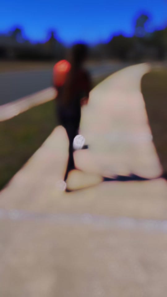 Post 5 by Dianne K on TikTok (video)