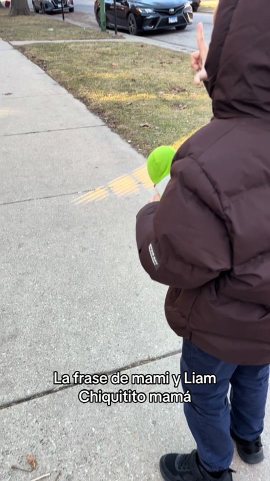 Post 2 by Johanna Alexandra 🇩🇴🇺🇸 on TikTok (video)