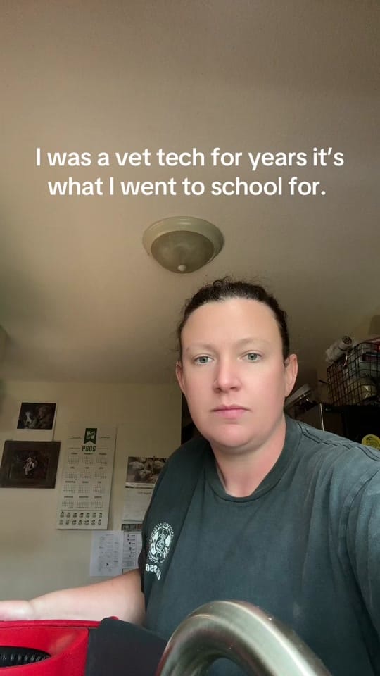 Post 5 by kaitlyneskaggs on TikTok (video)
