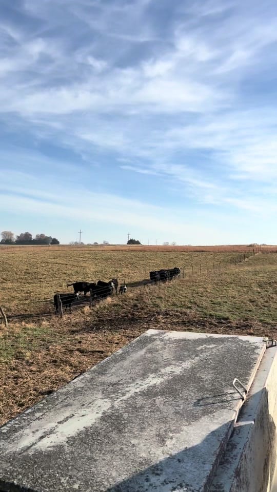 Post 3 by kaitlyneskaggs on TikTok (video)
