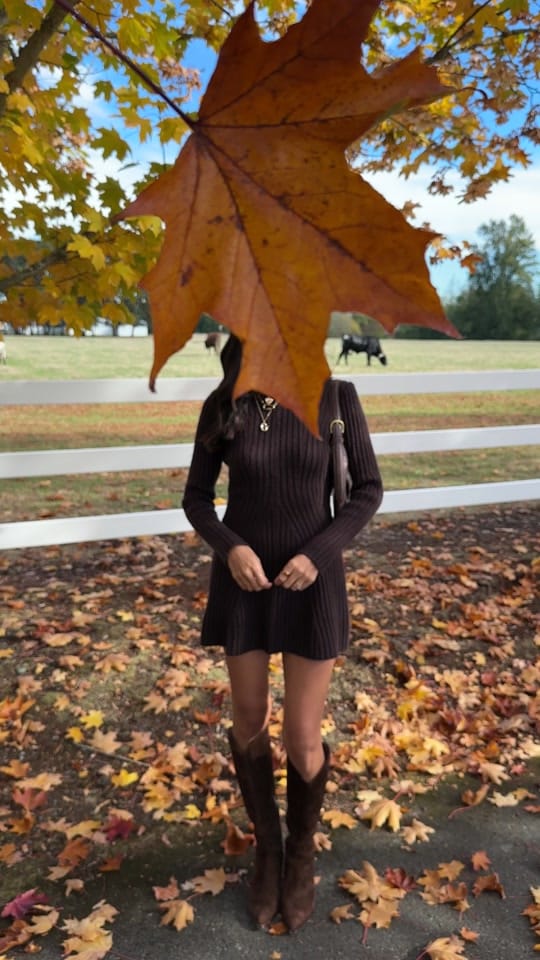 Post 7 by Ana Nava on TikTok (video)