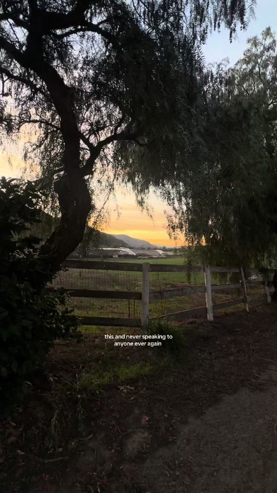 Post 10 by Candice on TikTok (video)