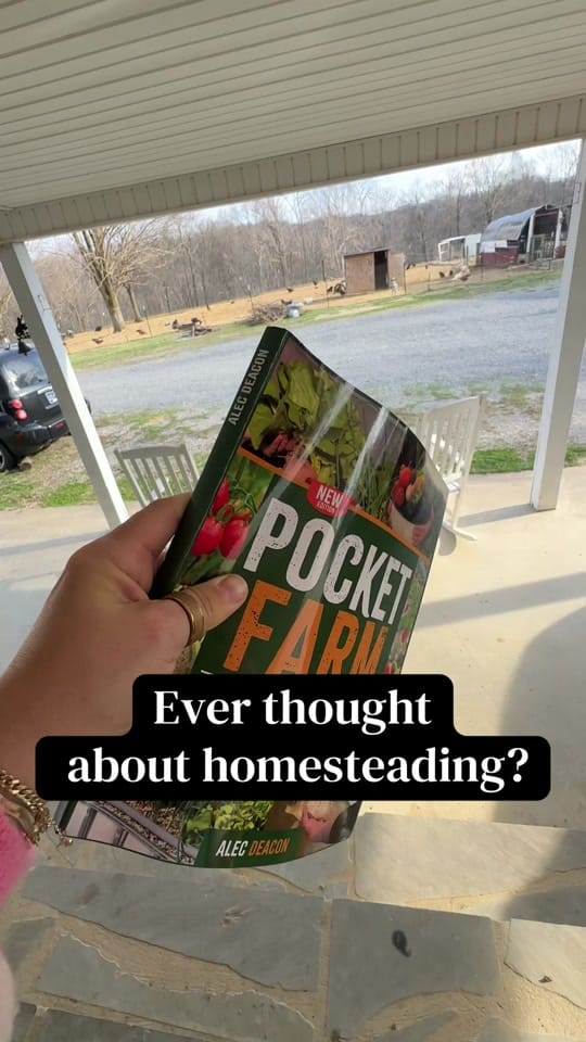 Post 5 by •Fresh Off The Heat• on TikTok (video)