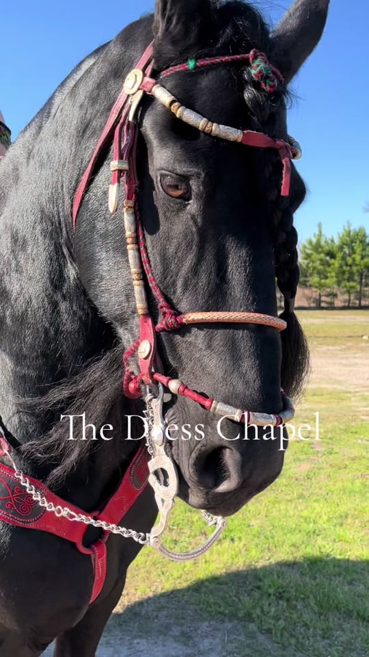 Post 2 by Thedresschapel on TikTok (video)