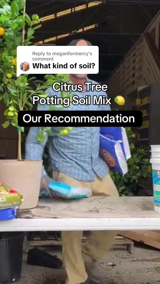 Post 3 by Four Winds Growing 🍋 on TikTok (video)