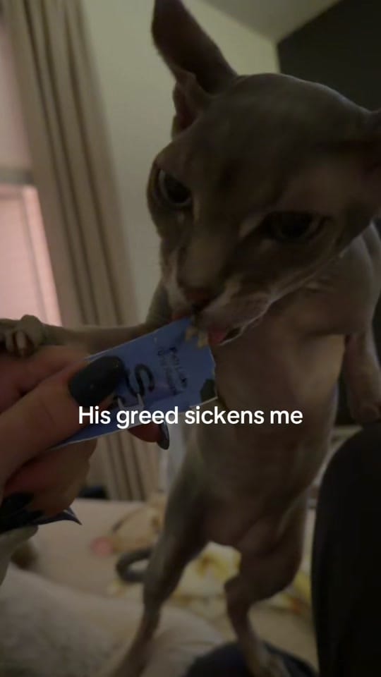 Post 6 by Kristina on TikTok (video)