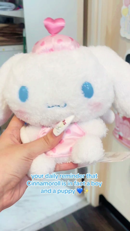 Post 6 by Omocha USA on TikTok (video)